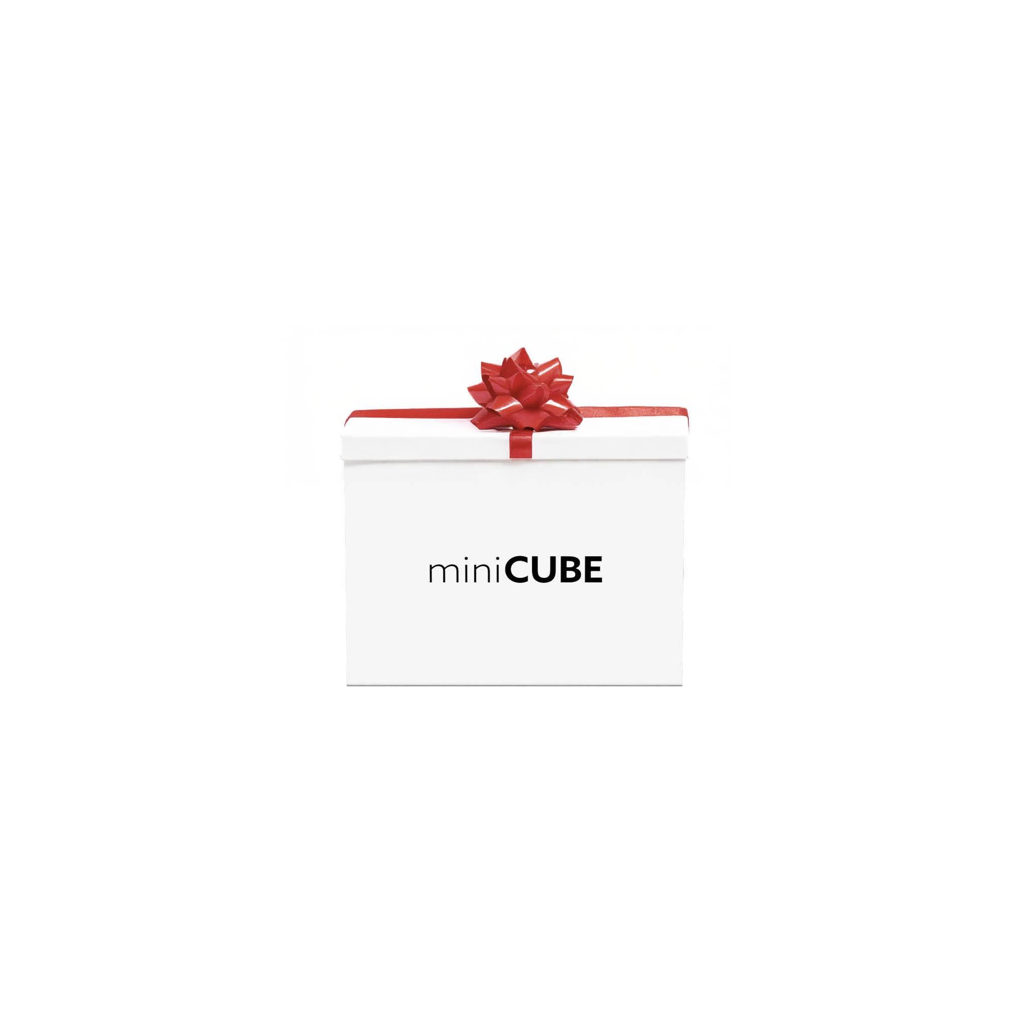 Welcome Gift: miniCUBE